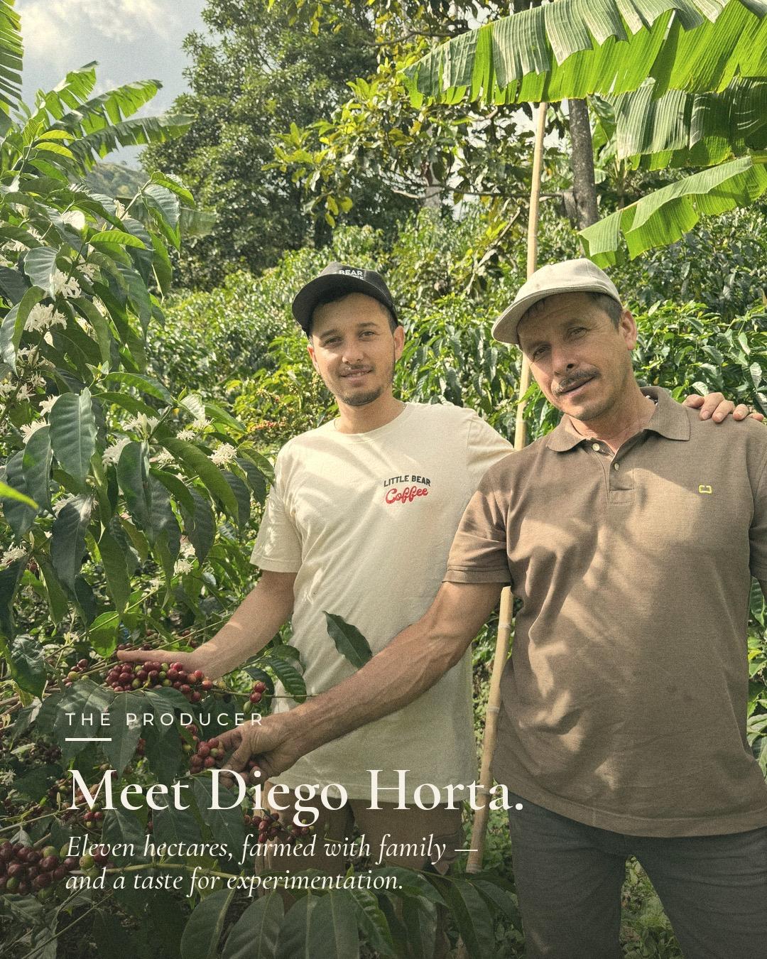 The Producer — Meet Diego Horta, farming eleven hectares with family.