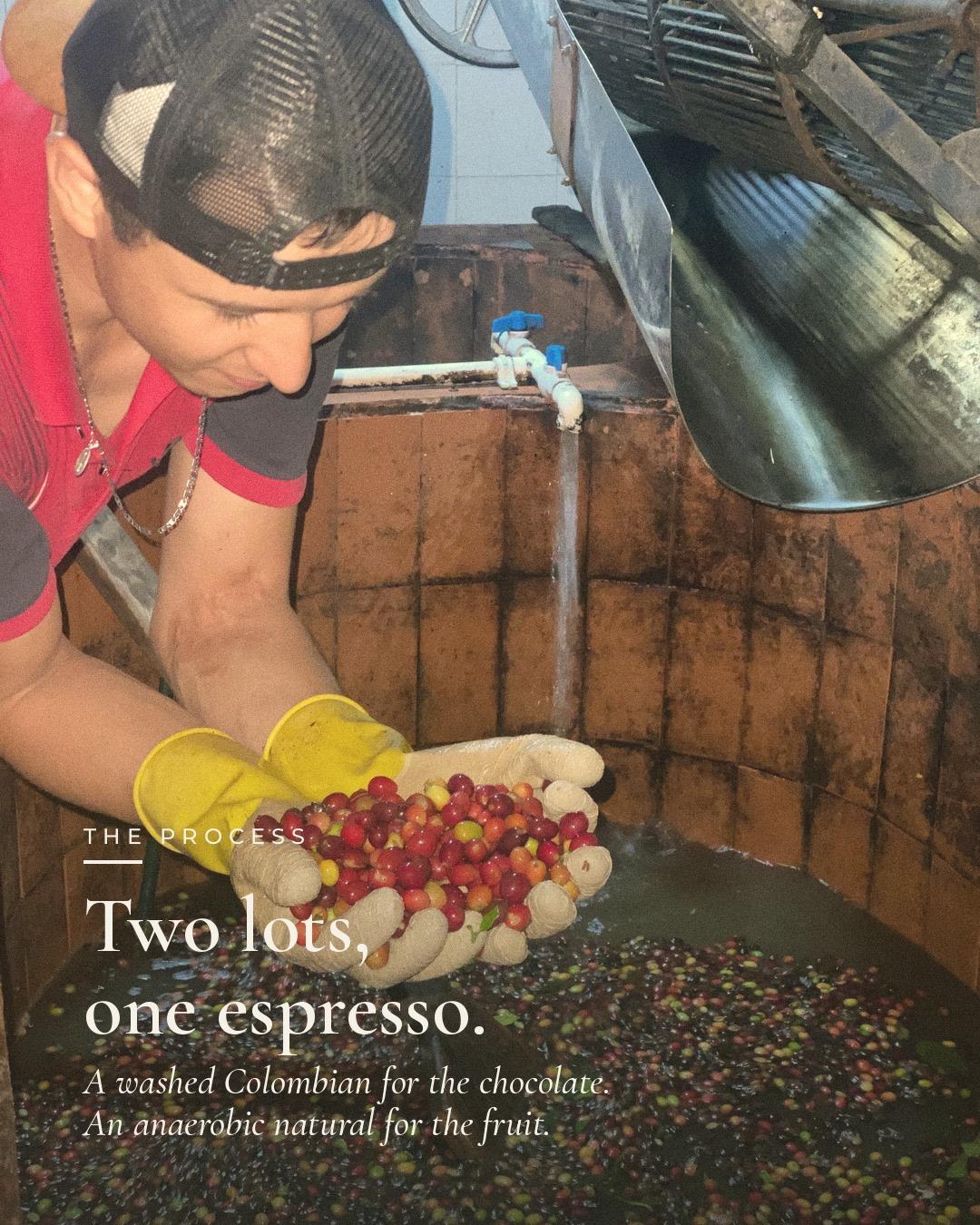 The Process — two lots, one espresso. A washed Colombian for chocolate, an anaerobic natural for fruit.