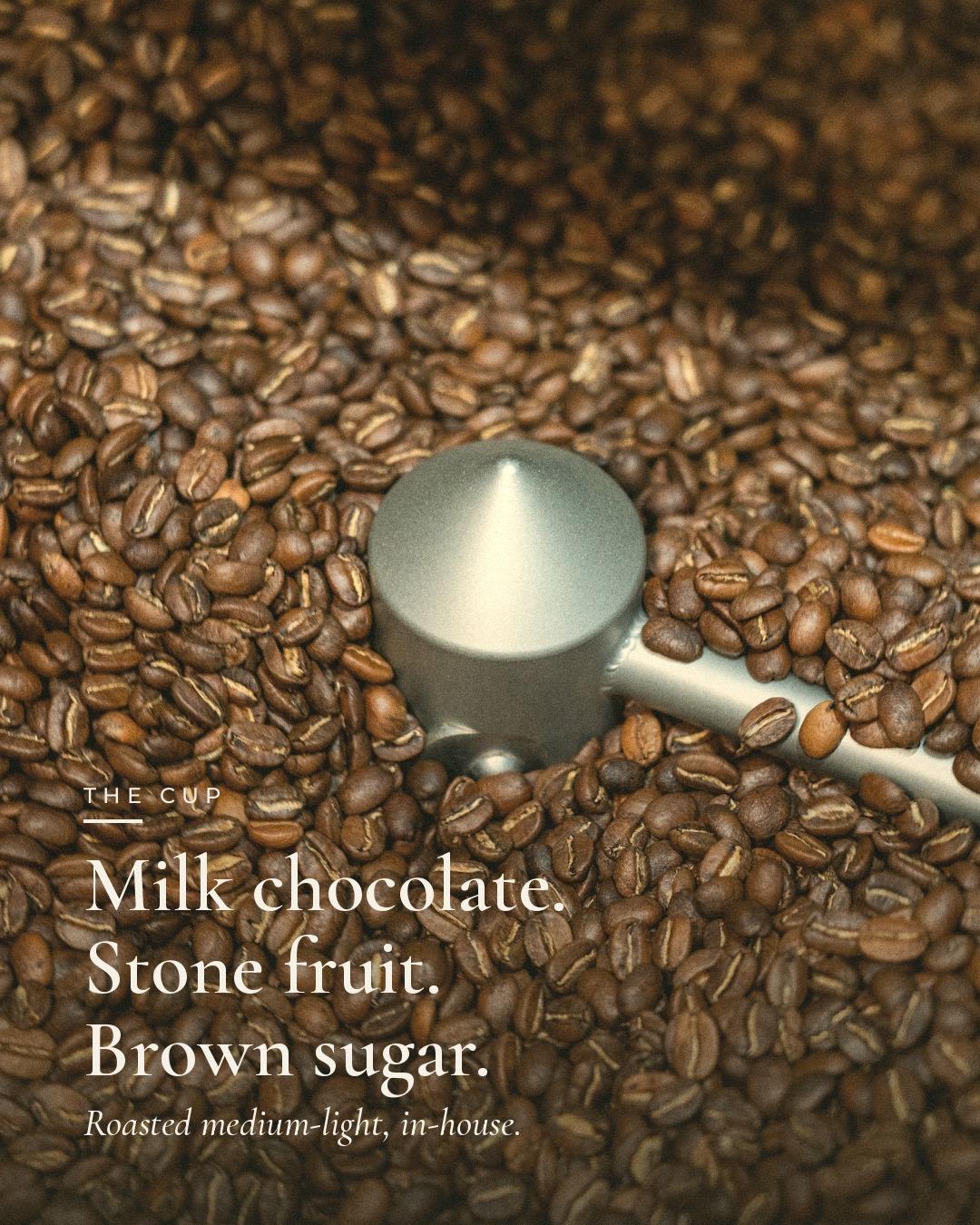 The Cup — milk chocolate, stone fruit, brown sugar. Roasted medium-light, in-house.